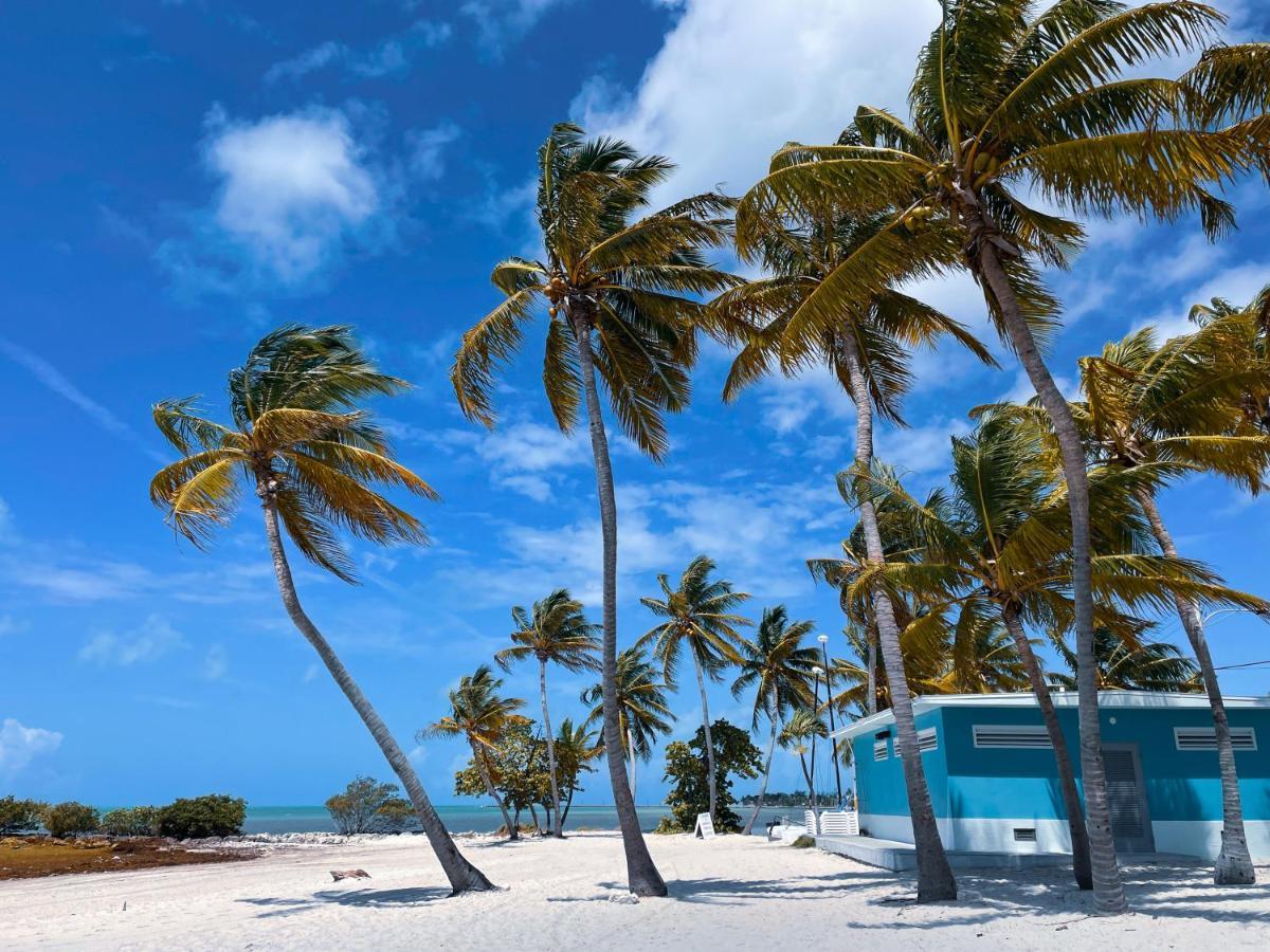 Tropic Isle Hotel & Apartment Hollywood Eksteriør billede